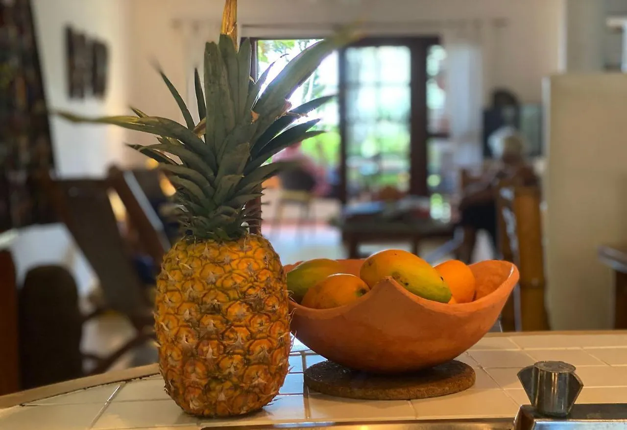 Cabarete Beachfront Condos At Nanny Estate C-5 Dominican Republic